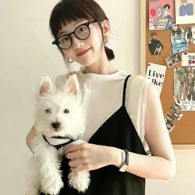 掉链子刑警